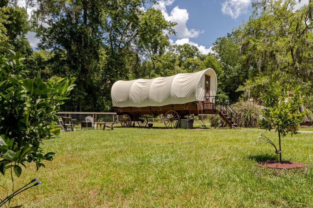 Rooterville Animal Sanctuary Melrose Exterior photo