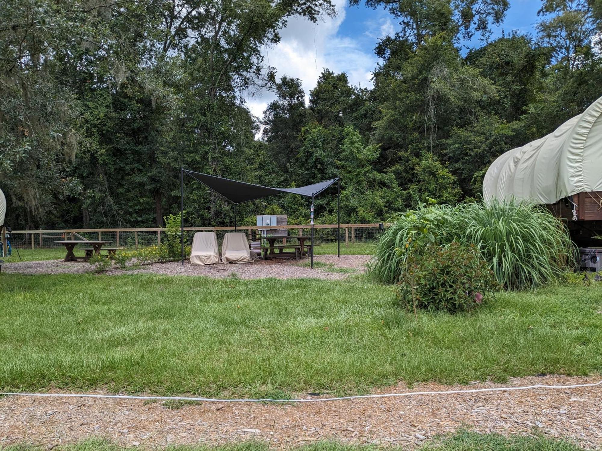 Rooterville Animal Sanctuary Melrose Exterior photo